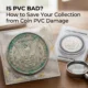 Is PVC Bad? How to Save Your Collection from Coin PVC Damage
