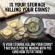 Is Your Storage Killing Your Coins? 7 Mistakes You’re Making with PVC (And How to Fix Them)